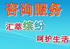 信息咨詢服務(wù) 定義、流程與核心價值