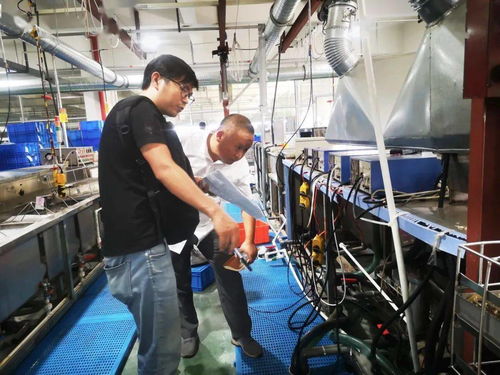 規(guī)范廠中廠，服務(wù)小微園 樂清翁垟街道多措并舉繃緊企業(yè)生產(chǎn)安全弦
